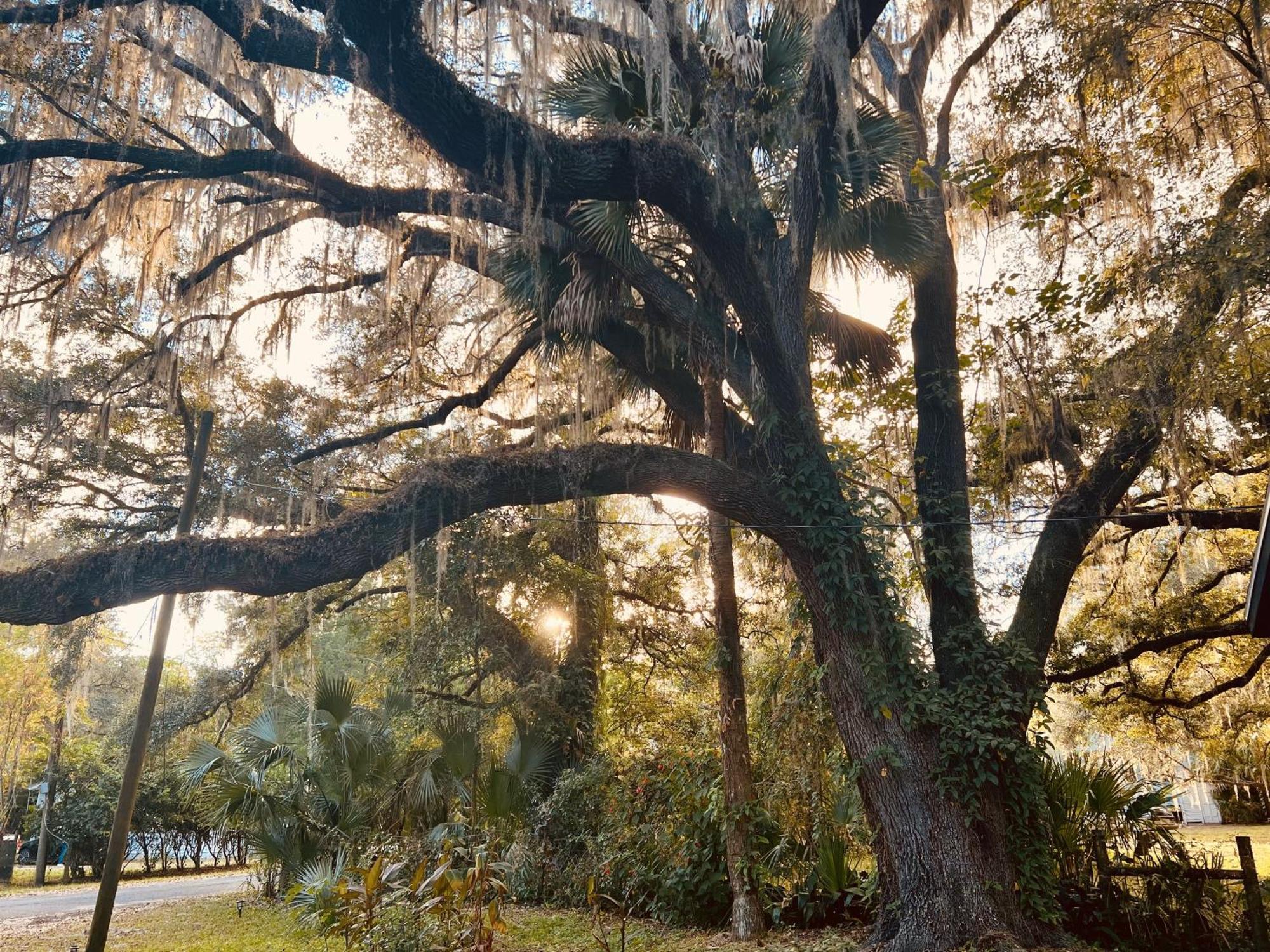 Country Welcome Micanopy Extérieur photo